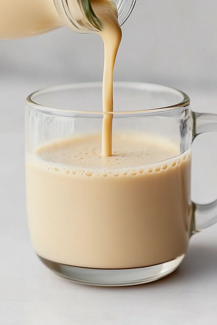 Protein Booster Malt - Instant Milk Mix